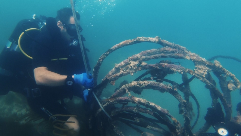 A diver picking up debris from the seafloor.