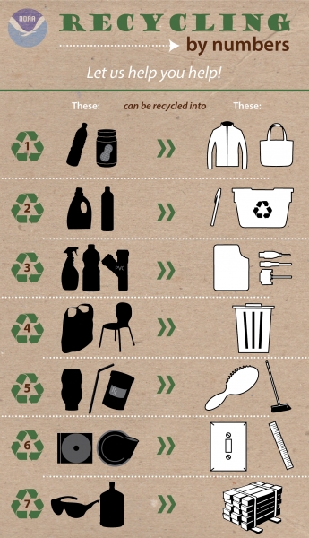 Infographic showing the various types of plastics and what they can be turned into after recycling.