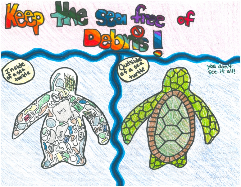 A child's drawing of a sea turtle versus a sea turtle filled with marine debris.