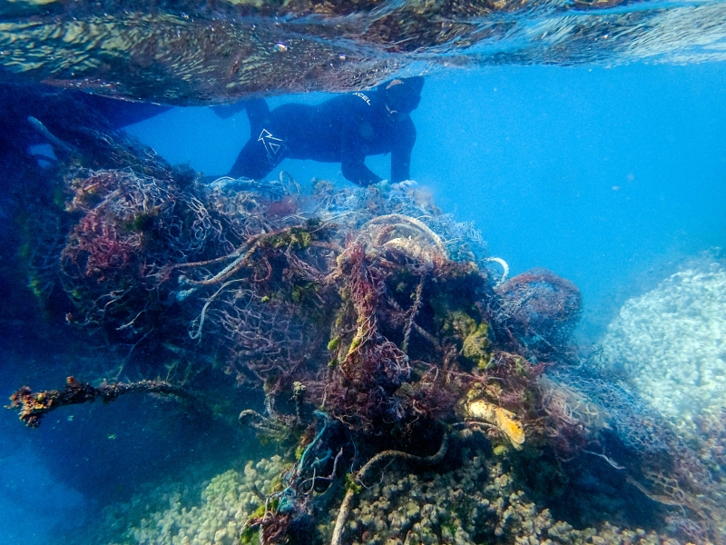 A very large net in front of a diver.
