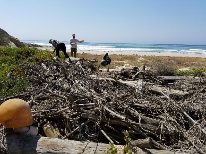 Plastic debris on a beach with people cataloging debris in the background.