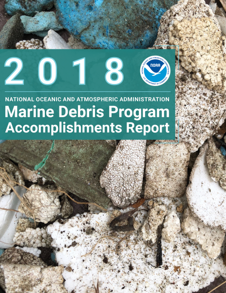 2018 Accomplishments report cover.
