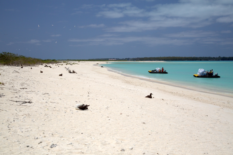 A beautiful white sand beach with two boats full of bags of debris offshore.