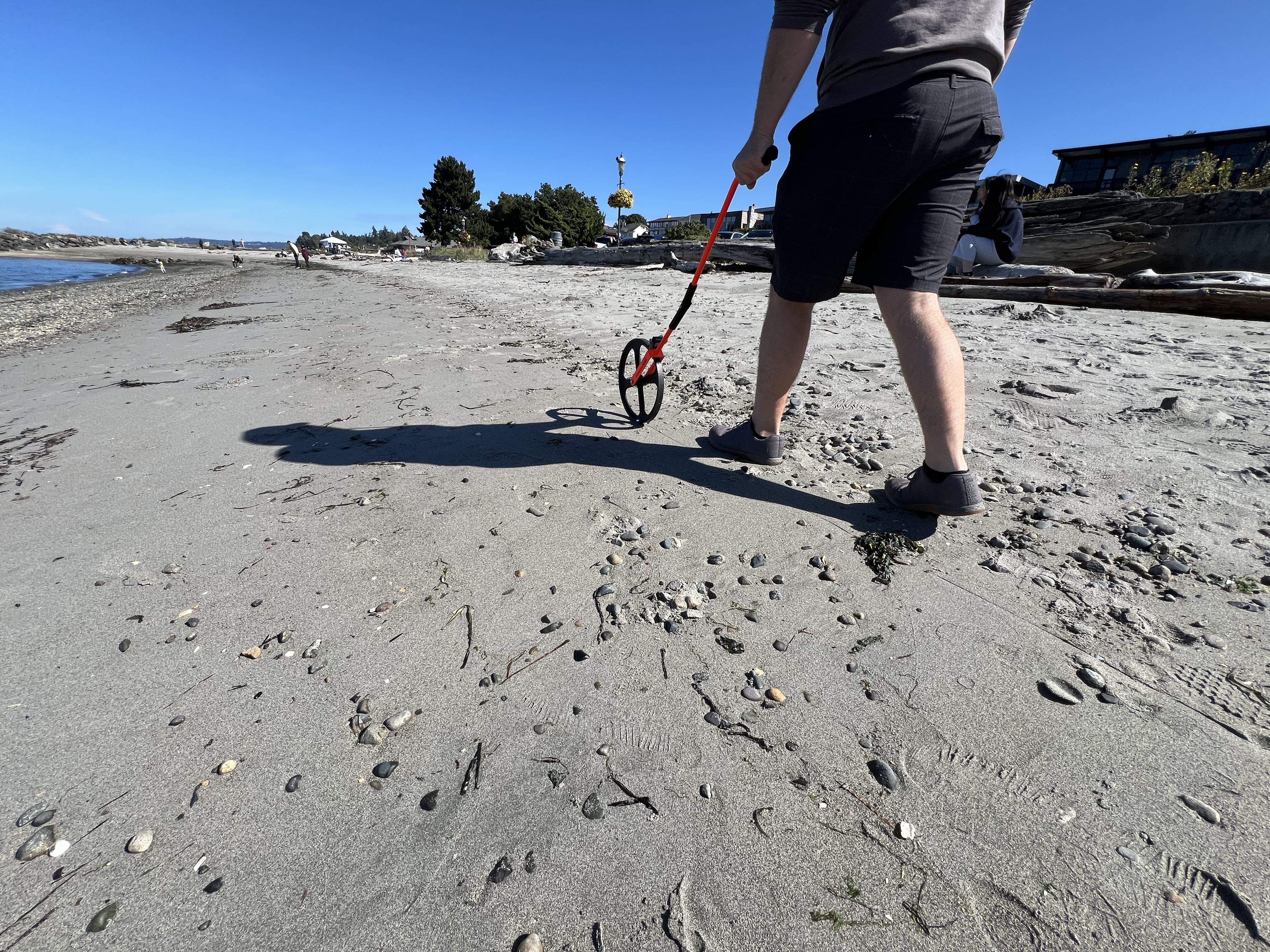 A person walking along a shoreline using a measuring tape device to record a transect.