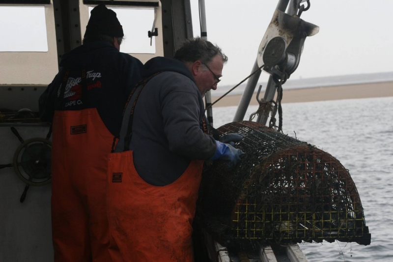 A lobsterman pulling a derelict trap out of the water.