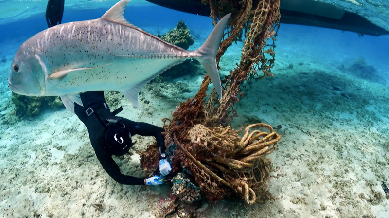A marine debris removal team member cuts a large net from a reef.