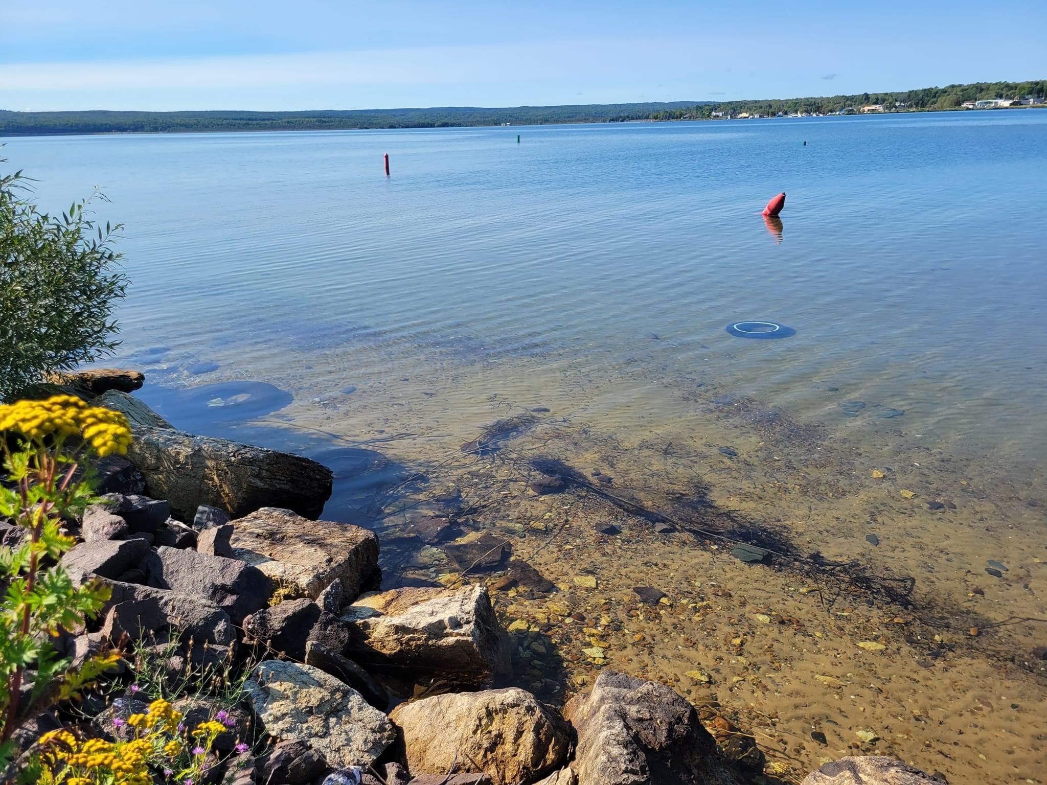 A landscape of a lake with a submerged tire and buoys.