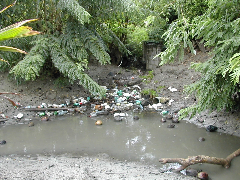Debris collecting around a storm drain.