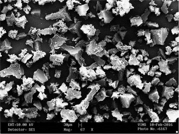 Electron microscope image.