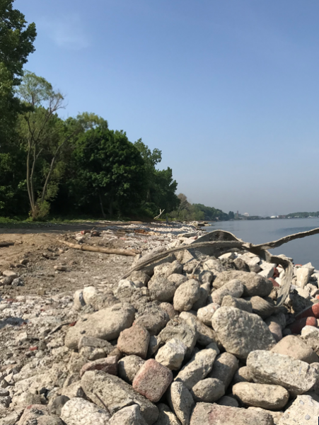 Marine debris along the shore of Euclid Beach Park.