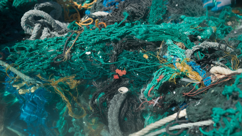A mass of derelict nets in water.