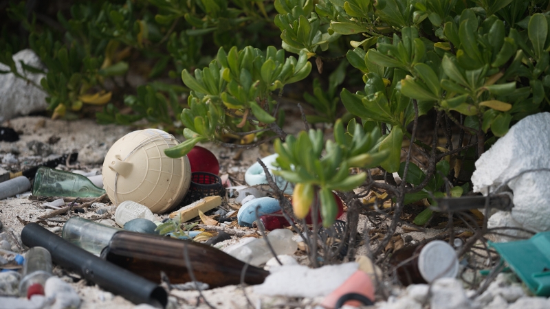 Trash scattered on sand and among shrubs at the back barrier of a beach.