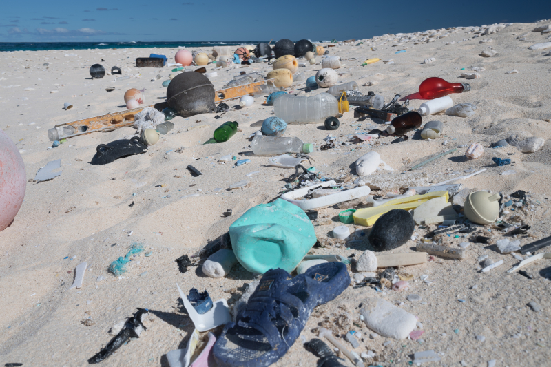 Marine debris along the shore of Laysan Island.