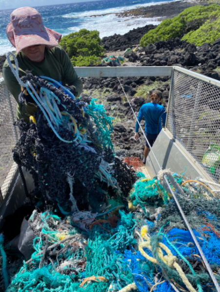 A cleanup volunteer loads a derelict finish net into the back of a truck.