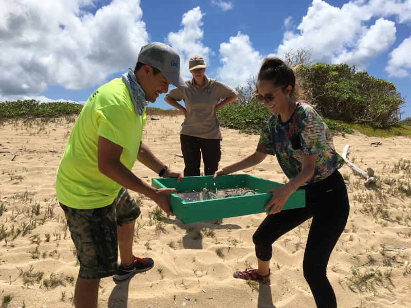 Two people sift plastic out of sand. 