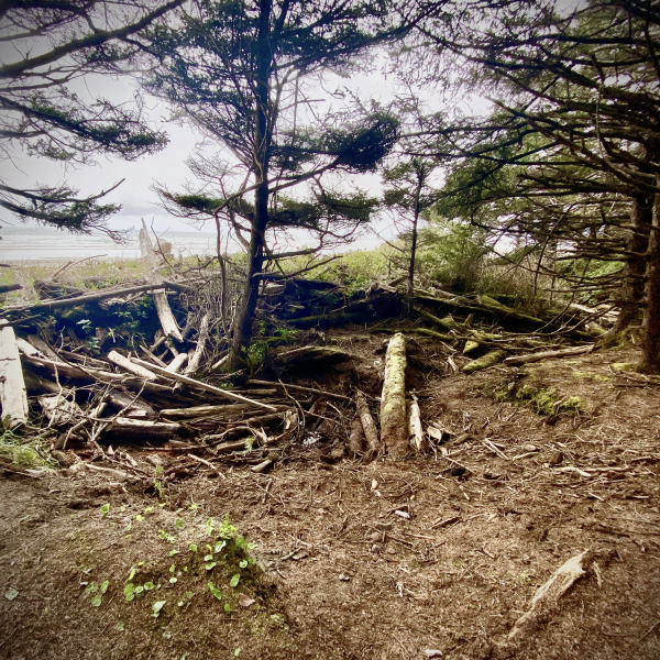 The former location of a remote collection of marine debris now cleared.