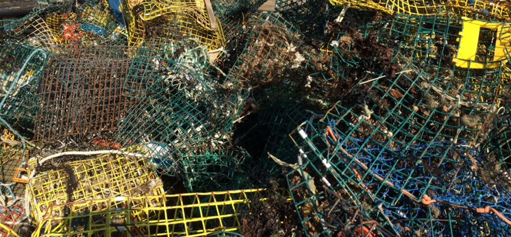 A close-up of derelict crab pots.