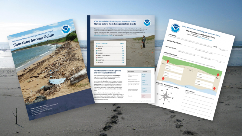 Four people surveying a shoreline transect for marine debris.