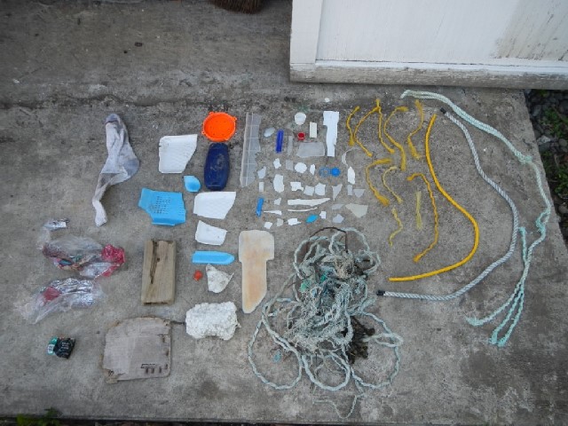 Debris removed from Mosquito Creek, Washington.