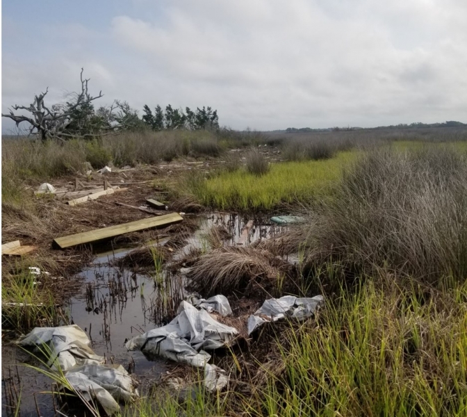 Debris from Hurricane Florence strewn across the marsh.