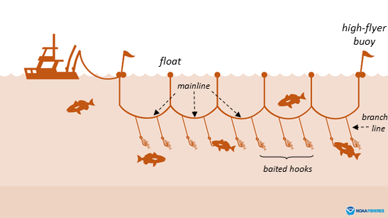 A drawing of a boat deploying fishing gear behind it.