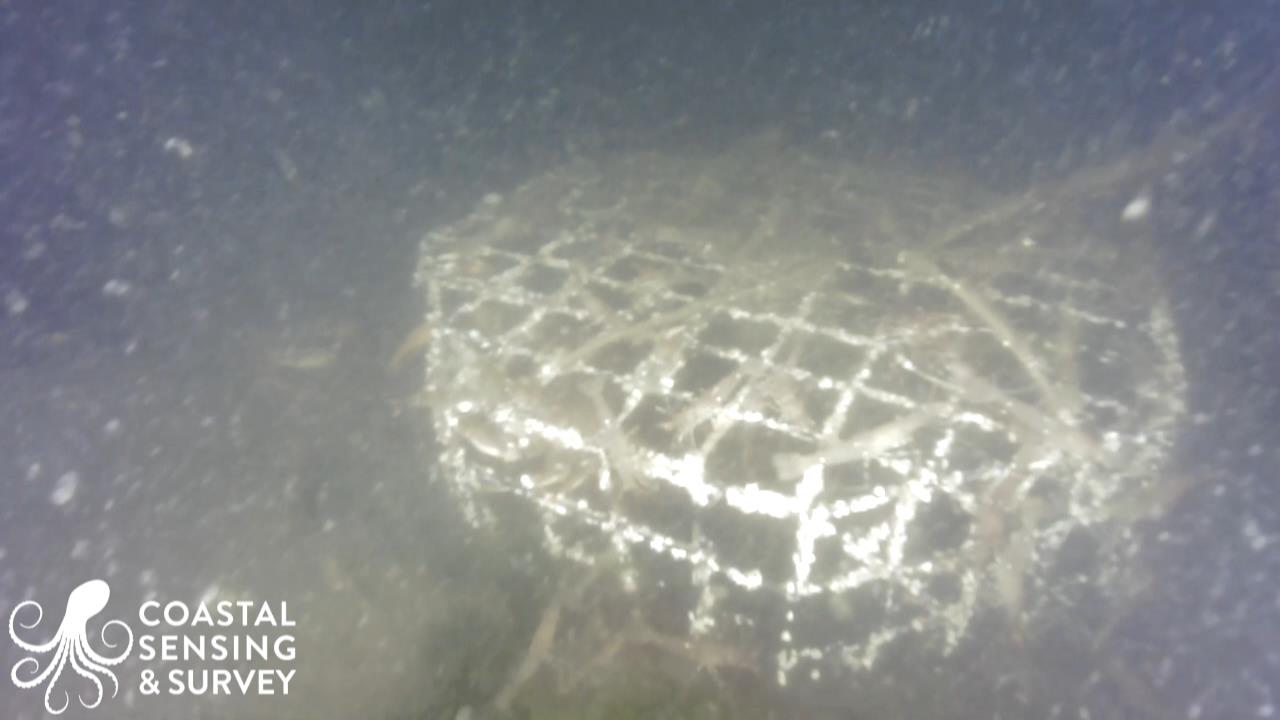 An underwater crab pot.