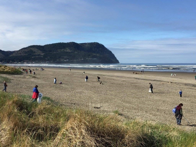 People cleaning up debris on a beach.