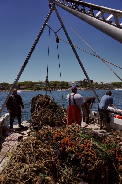 Derelict fishing gear piled on deck of vessel.