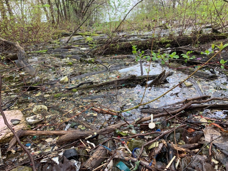 Several sticks and small logs float in a pool of water sprinkled with marine debris.