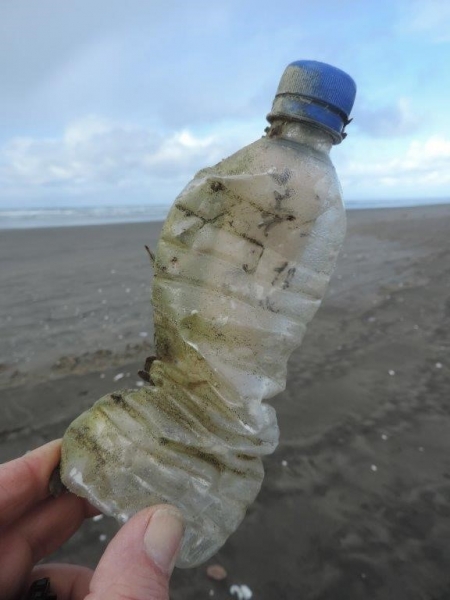 Plastic water bottle found on the beach.