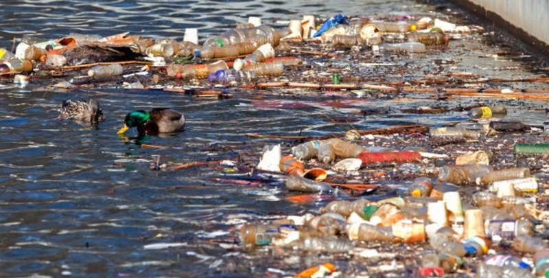 Trash floating in water.