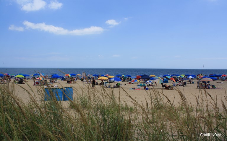 Several people relax on a beach.