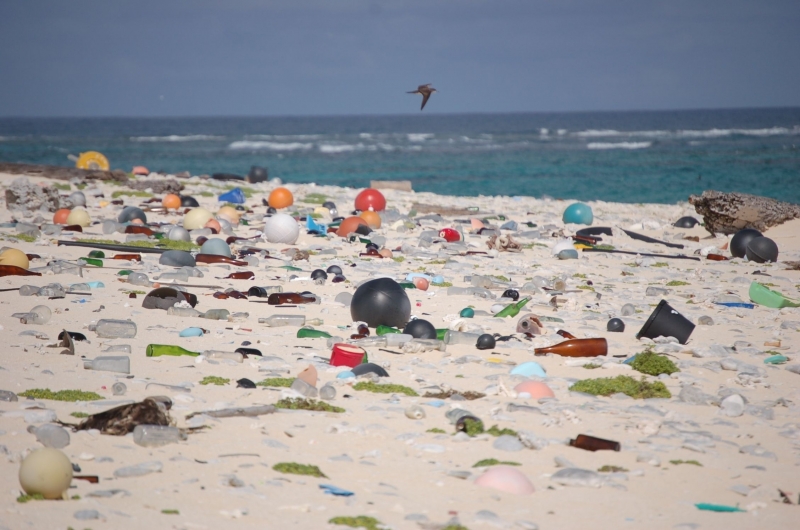 Beach filled with marine debris.
