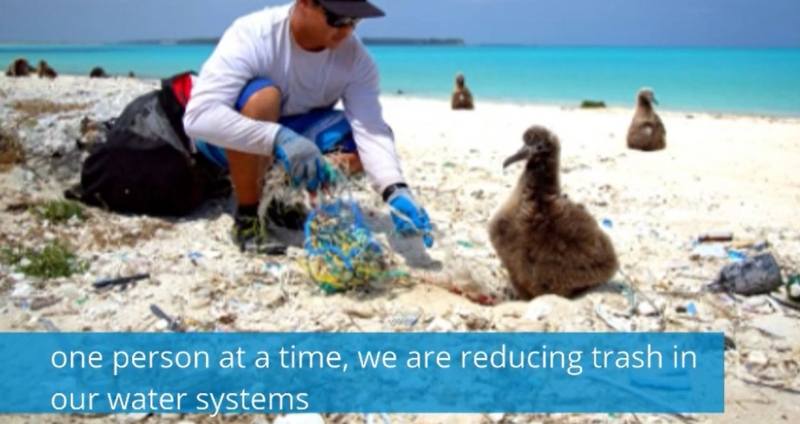 A person cleaning up debris next to an albatross chick.