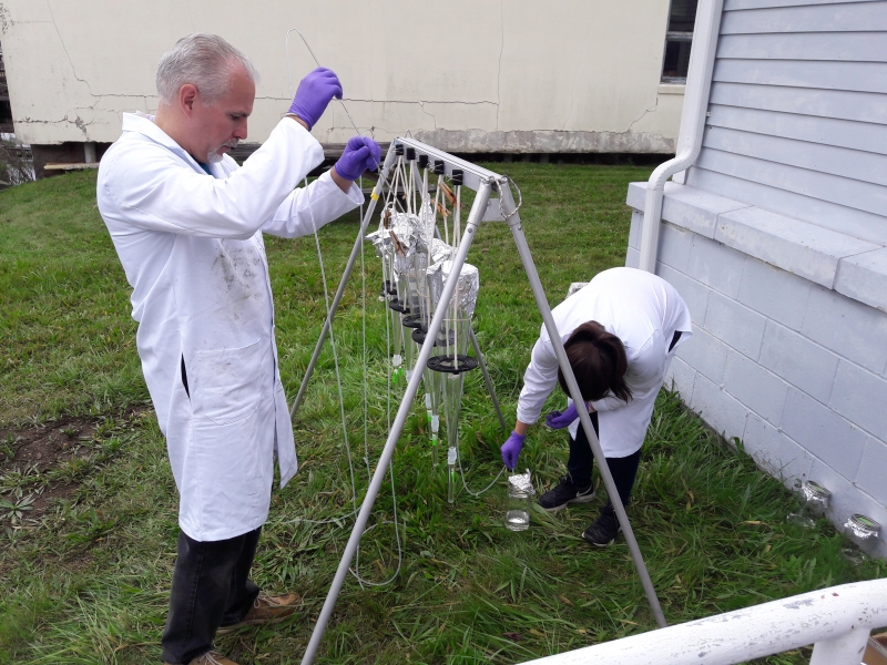 Water samples collected at the Connecticut Bureau of Aquaculture lab