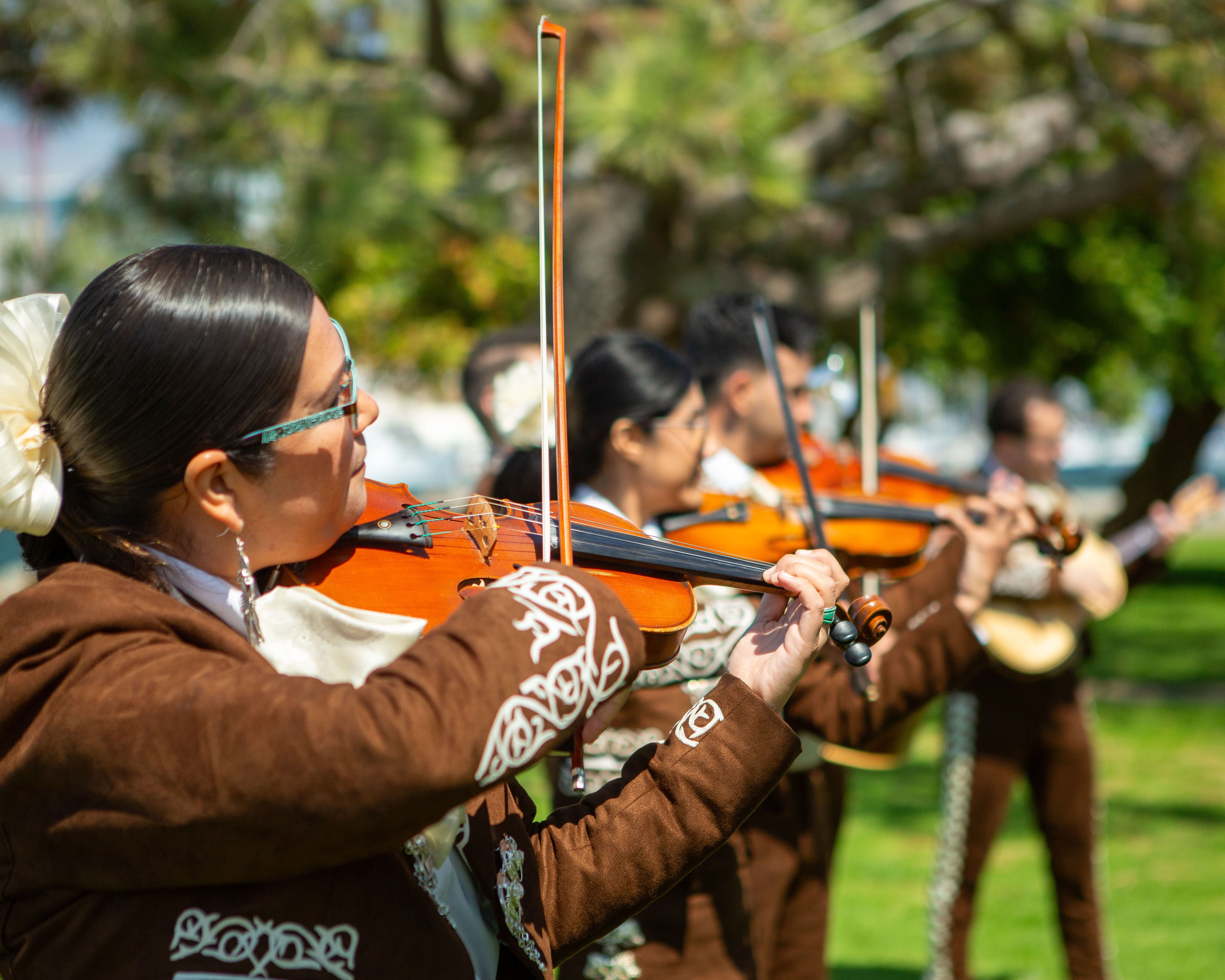 Musicians play their instruments.