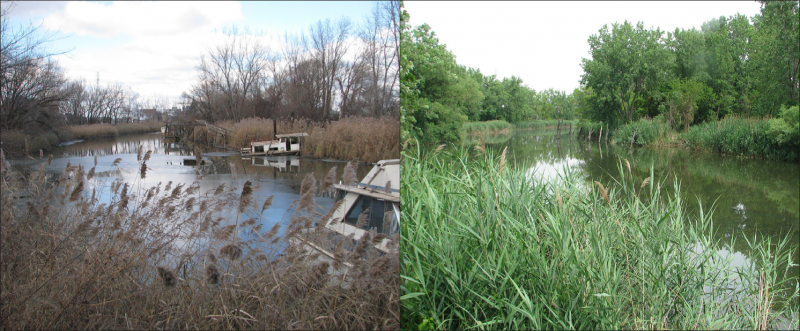 A river and shore with abandoned and derelict vessels, and then the same site with no derelict vessels.