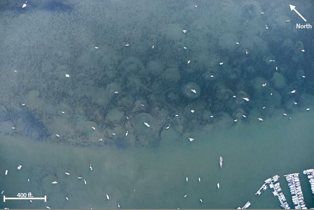 An overhead view of anchored boats in Richardson's Bay, California.
