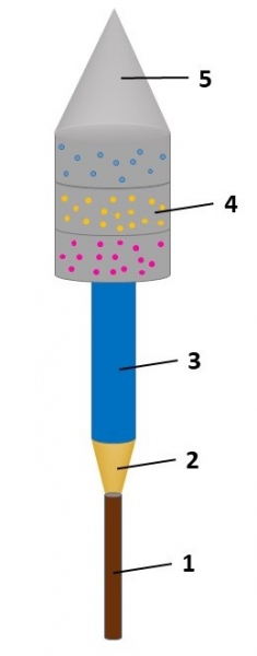 A graphic labeling the parts of a firework.