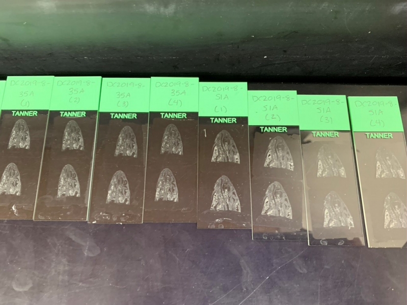 Clear cards that have a think section of fish scales on them.