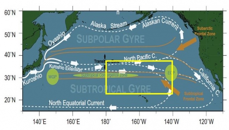 A chart of the ocean surface gyres.