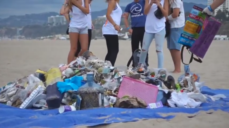 Screen shot from the second place video.