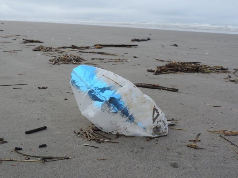Mylar balloon on a beach.