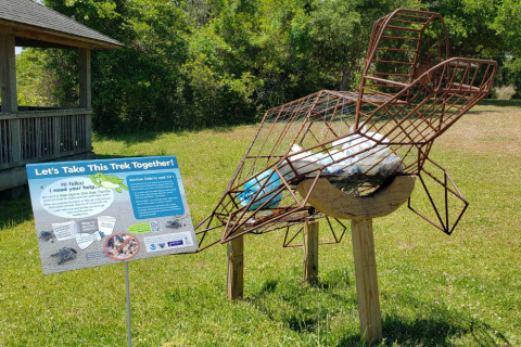 A metal frame sculpture of a sea turtle with marine debris visible inside the sculpture.