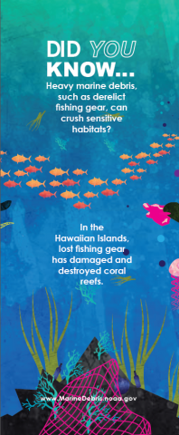 A graphic showing a net on corals.