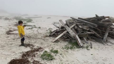 Child looking at hurricane debris on the beach.