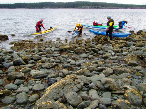 Volunteers arriving on a rocky shoreline with kayaks.
