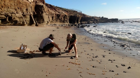 People collecting sand samples on a beach.