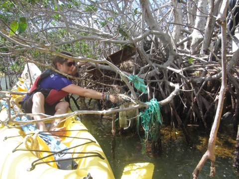 A woman in a kayak reaching for debris on a mangrove tree.