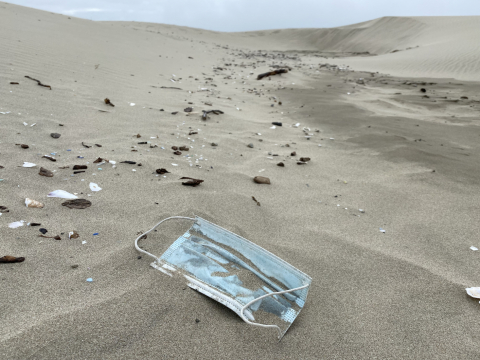 A disposable blue face mask discarded on a sandy beach.